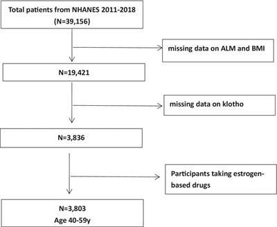 High serum klotho levels are inversely associated with the risk of low muscle mass in middle-aged adults: results from a cross-sectional study